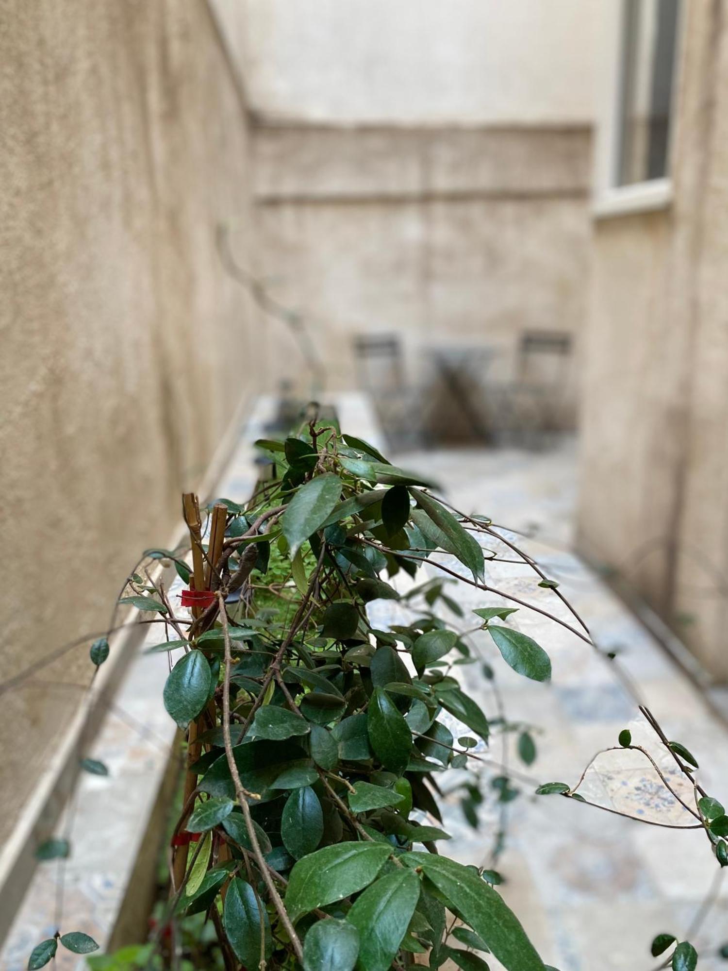 A Place 4 U Below Acropolis Apartment Athens Exterior photo
